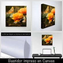 Cargar imagen en el visor de la galería, Mariposa