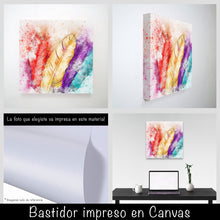 Cargar imagen en el visor de la galería, Plumas