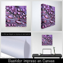 Cargar imagen en el visor de la galería, Gotas de rocío