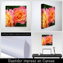 Cargar imagen en el visor de la galería, Rosas