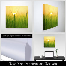 Cargar imagen en el visor de la galería, Trigo