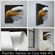 Cargar imagen en el visor de la galería, Aguila