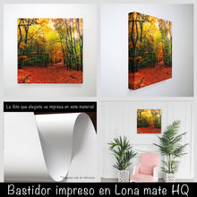 Cargar imagen en el visor de la galería, Bosque