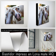 Cargar imagen en el visor de la galería, Caballos