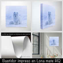 Cargar imagen en el visor de la galería, Zorro Polar