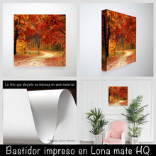 Cargar imagen en el visor de la galería, Camino