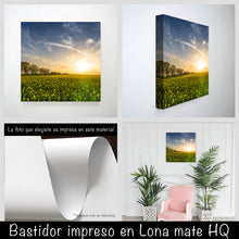 Cargar imagen en el visor de la galería, Campo