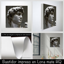 Cargar imagen en el visor de la galería, David