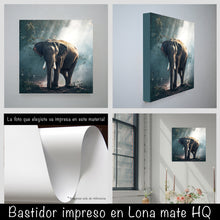 Cargar imagen en el visor de la galería, Elefante