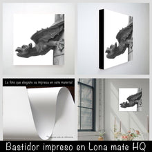 Cargar imagen en el visor de la galería, Gárgola