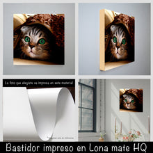 Cargar imagen en el visor de la galería, Gatito