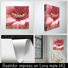 Cargar imagen en el visor de la galería, Margarita