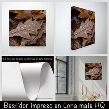 Cargar imagen en el visor de la galería, Hojas