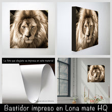 Cargar imagen en el visor de la galería, León