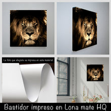 Cargar imagen en el visor de la galería, Leon Africano