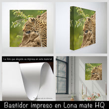 Cargar imagen en el visor de la galería, Leopardo