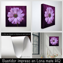 Cargar imagen en el visor de la galería, Margarita lila