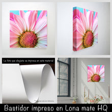 Cargar imagen en el visor de la galería, Margarita rosa