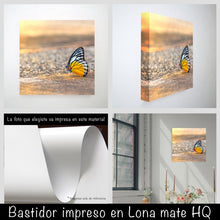 Cargar imagen en el visor de la galería, Mariposa
