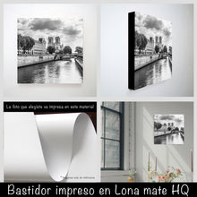 Cargar imagen en el visor de la galería, París sena