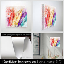 Cargar imagen en el visor de la galería, Plumas