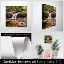 Cargar imagen en el visor de la galería, Río