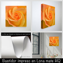 Cargar imagen en el visor de la galería, Rosa amarilla