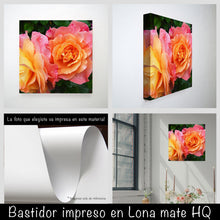 Cargar imagen en el visor de la galería, Rosas