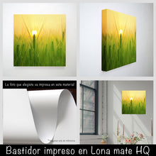 Cargar imagen en el visor de la galería, Trigo