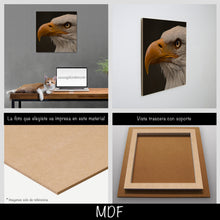 Cargar imagen en el visor de la galería, Aguila