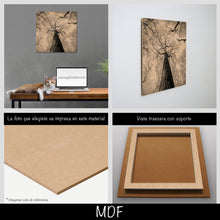 Cargar imagen en el visor de la galería, Bosque