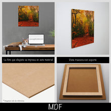 Cargar imagen en el visor de la galería, Bosque