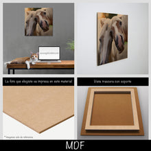 Cargar imagen en el visor de la galería, Caballos