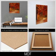 Cargar imagen en el visor de la galería, Camino