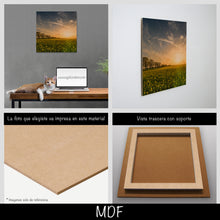 Cargar imagen en el visor de la galería, Campo