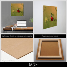 Cargar imagen en el visor de la galería, Catarina