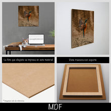 Cargar imagen en el visor de la galería, Colibrí