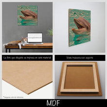 Cargar imagen en el visor de la galería, Delfín