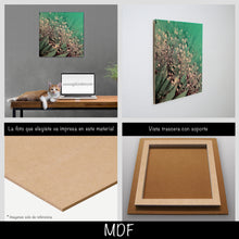 Cargar imagen en el visor de la galería, Diente de león