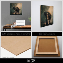 Cargar imagen en el visor de la galería, Elefante