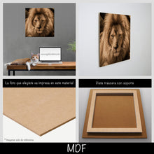 Cargar imagen en el visor de la galería, León