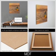 Cargar imagen en el visor de la galería, Mariposa