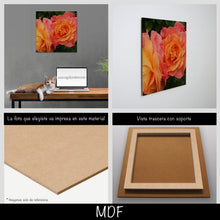 Cargar imagen en el visor de la galería, Rosas