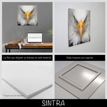 Cargar imagen en el visor de la galería, Aguila Calva