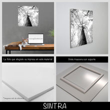 Cargar imagen en el visor de la galería, Bosque