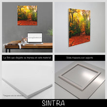 Cargar imagen en el visor de la galería, Bosque