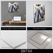 Cargar imagen en el visor de la galería, Caballos