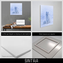 Cargar imagen en el visor de la galería, Zorro Polar