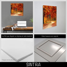 Cargar imagen en el visor de la galería, Camino