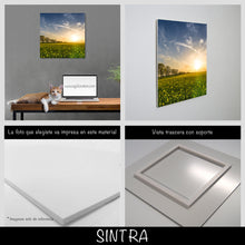 Cargar imagen en el visor de la galería, Campo